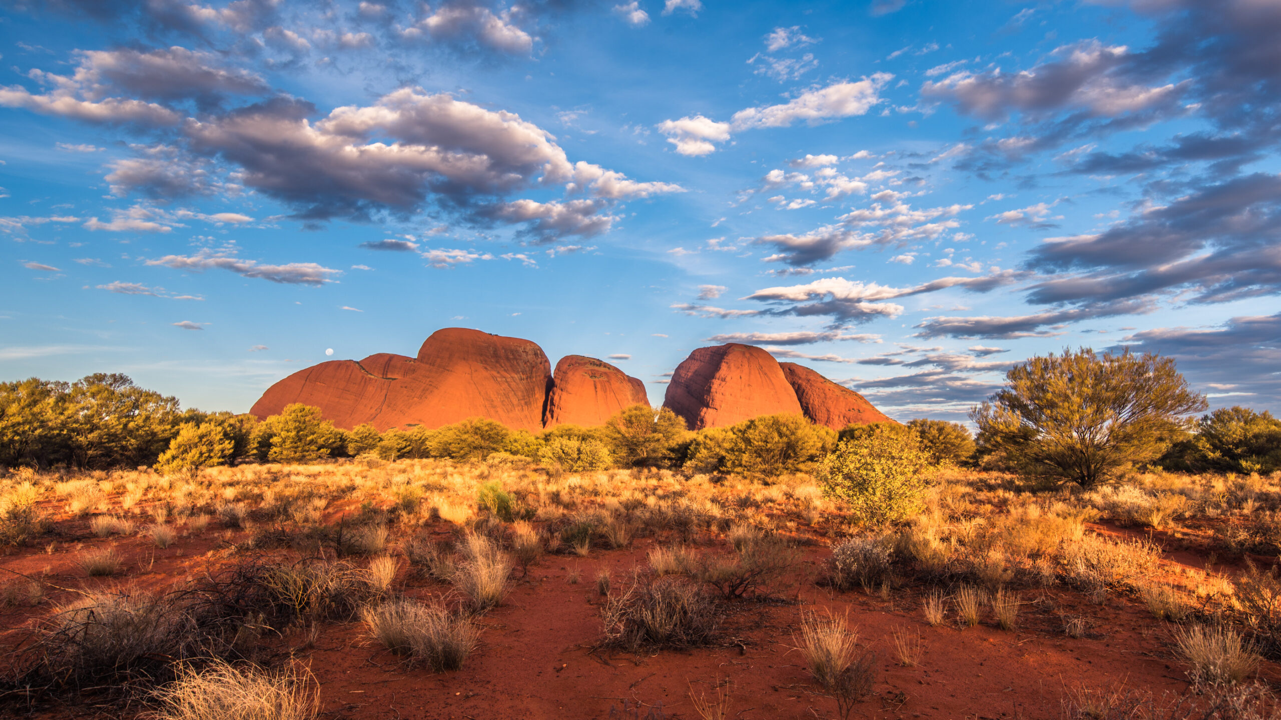 Australia landscape