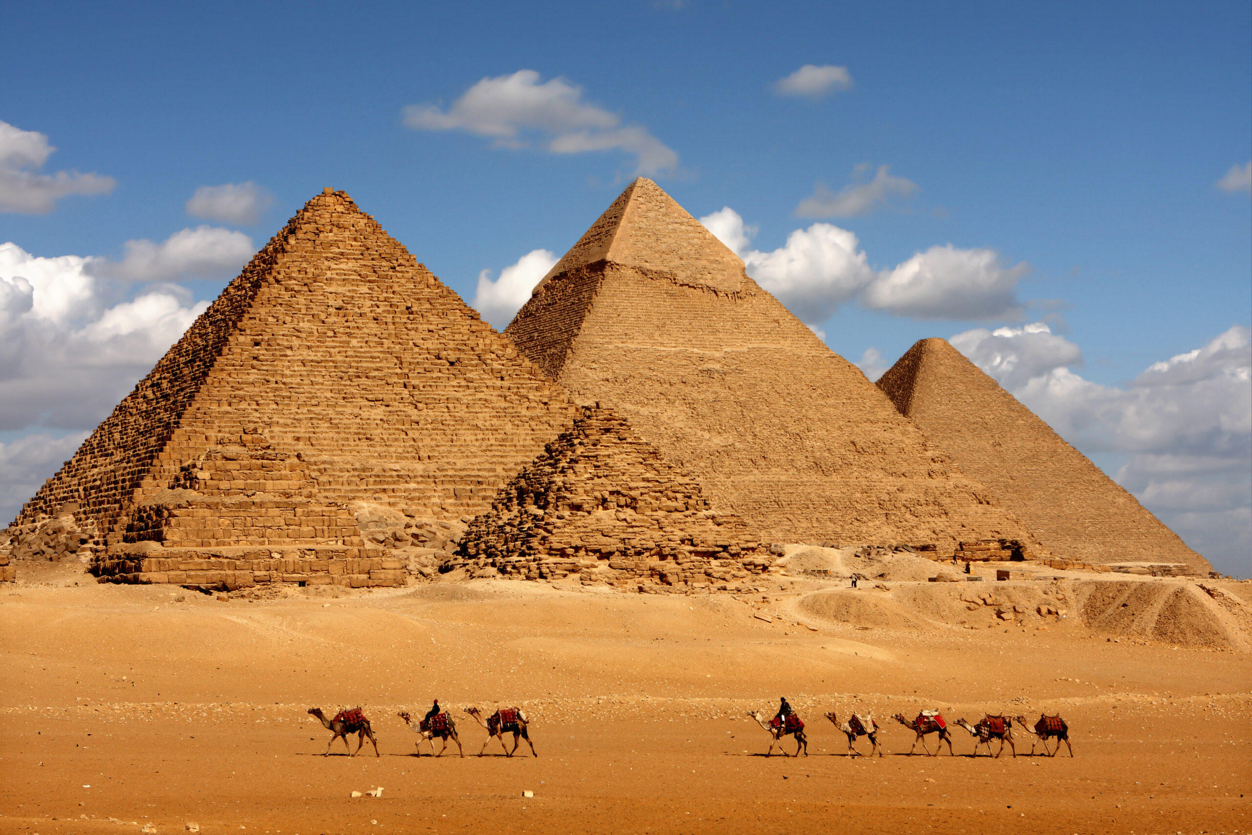 pyramids giza cairo in egypt with camel caravane panoramic sceni