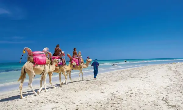 Naya Club Djerba Plaza 4* - activité