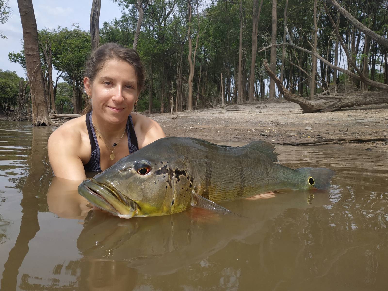 Peacok bass en amazonie 2