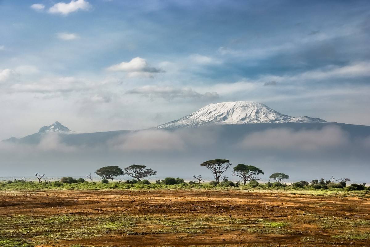 TANZANIE Safari 1
