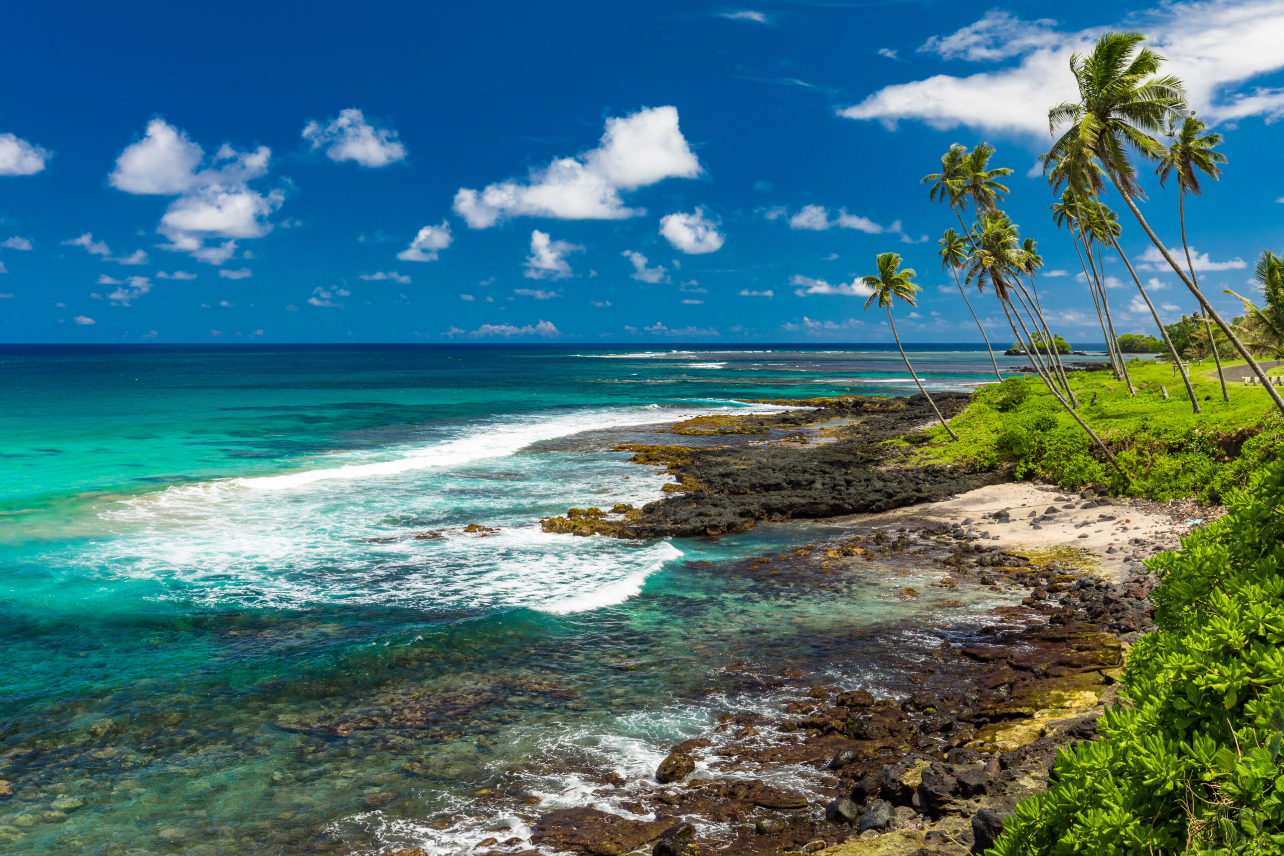 Tropical beach on south side of Samoa Island with coconut palm trees.